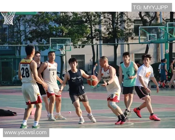广州篮球场美景展示与篮球文化交流活动精彩回顾