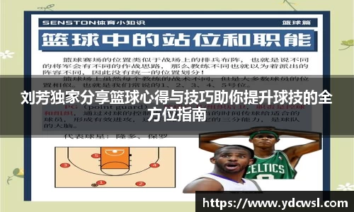 刘芳独家分享篮球心得与技巧助你提升球技的全方位指南