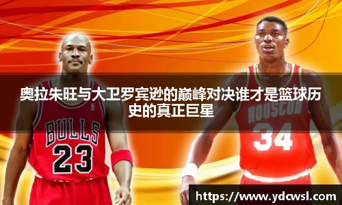 奥拉朱旺与大卫罗宾逊的巅峰对决谁才是篮球历史的真正巨星